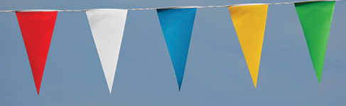 Demo image