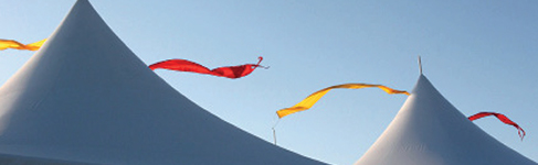 Demo image